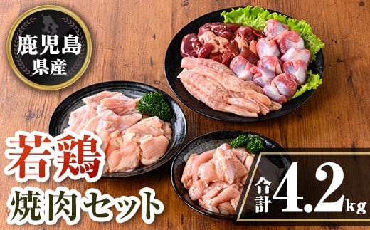 isa726 鹿児島県産 若鶏焼肉セット (合計4.2kg) 鹿児島県産 小分け 真空パック 鶏肉 鳥肉 もも肉 モモ肉 砂肝 肝 手羽中 肩肉 小肉 焼き肉 焼肉 セット 詰め合わせ 冷凍 【TRINITY】鹿児島県伊佐市2