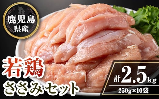 isa714 Y{݃Zbg(v2.5kgE250g×10P) Y Y {  Ƃ  wV[ _CGbg ς ^pN  ^ yTRINITYzɍs11000{