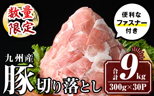 isa784 yFʌzqs\tI2026N2菇rBY ؓ؂藎Ƃ (v9.0kg) Y ^ ^pbN t@Xi[  ؗƂ Ԃɂ   Ⓚ yT