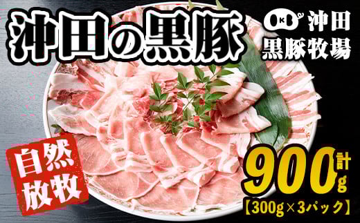 A3-01 鹿児島県産!幻の黒・沖田の黒豚(計900g・ロース、肩ロース、バラ、モモ、ウデいずれか3パック) ふるさと納税 伊佐市 特産品 国産 九州産 鹿児島 肉 お肉  黒豚 豚肉 生姜焼き しょうが