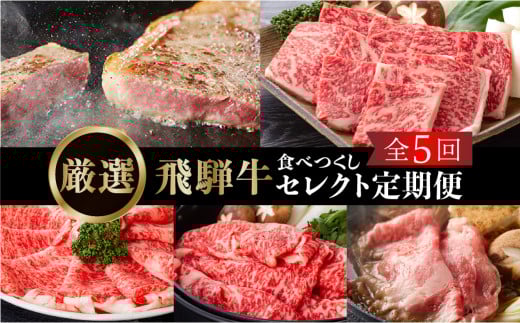 《定期便5回》飛騨牛食べつくし厳選セレクト 5か月 焼肉 サーロイン肩ロース ロース モモ すき焼き しゃぶしゃぶ 食べ比べ 牛肉 国産 焼き肉 赤身 だるまミート 岐阜県 白川村 贅沢 冷凍 9500