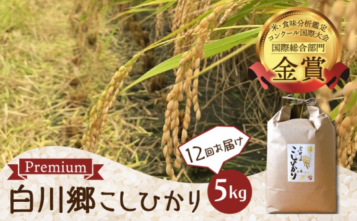 先行予約 令和7年産 こしひかり 定期便 5kg 12回 事前予約 白川郷 戸ヶ野のこしひかりプレミアム 5キロ 12か月 新米 常温 こめ コメ 新生活 応援 こだわりの お米 精米 コシヒカリ プレミアム