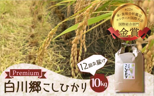 令和5年産 こしひかり 定期便 10kg 12回 事前予約 白川郷 戸ヶ野のこしひかりプレミアム 10キロ 12か月 新米 先行予約 常温 こめ コメ 新生活 応援 こだわりの お米 精米 コシヒカリ プレミアム