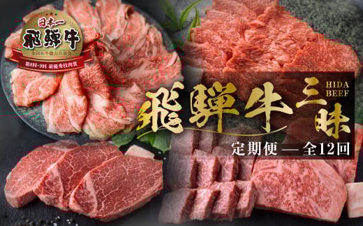 【まるごと定期便】 飛騨牛三昧 全12回  お届け 肉 定期便 飛騨牛 三昧 全 12回 お届け 肉 定期便 12か月 肉づくし ローススライス 白川郷 焼肉用 もも肉 切り落とし サーロイン ステーキ しゃ