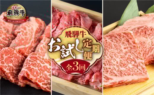 《定期便3回》飛騨牛 お試し定期便 お届け 肉づくし 白川郷 焼肉用 もも肉 切り落とし サーロイン ステーキ しゃぶしゃぶ すき焼き 食べ比べ 40000円 4万円 国産 黒毛和牛 牛 牛肉 焼肉 A4 赤身