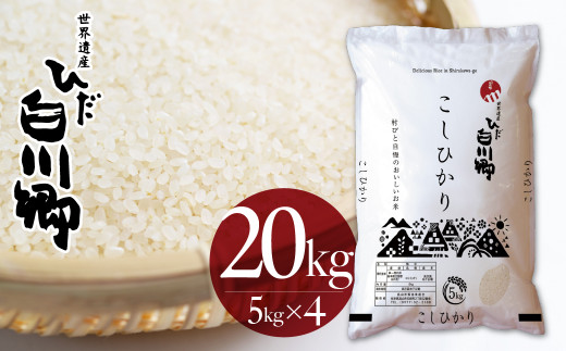 싽Ђ 20kg(5kg×4) 쑺Y RVqJ 20L 퉷  R V     ͂  򕌌  Rč 45000~[S750]򕌌쑺45000āEp