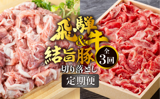《定期便》全3回 飛騨牛 切り落とし 500g 結旨豚 切り落とし 1.5kg セット 訳あり 等級 部位お任せ 牛 豚 食べ比べ 真空パック 小分け スライス 和牛 牛肉 豚肉 国産 ブランド和牛ブランド豚 飛