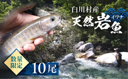 s\ 6ȍ~ 쑺Y VR⋛ Ci 10 20000~ [S804]򕌌쑺20000ECYN