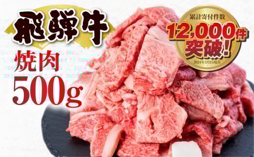 【訳あり】飛騨牛 焼肉用 切り落とし肉 500g 14000円 焼き肉用 焼肉 切り落とし 切落し 牛肉 肉 バーベキュー BBQ セット 和牛 焼肉 部位おまかせ ごちそう 贅沢飛騨牛  JA ひだ 大容量 人気 おす