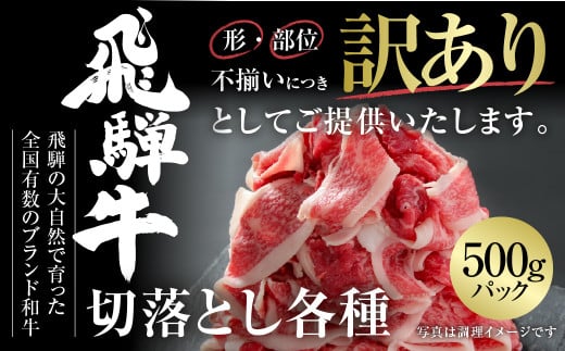󂠂 ˋ ؗƂ 500g Ⓚ^pbN |   ؂藎Ƃ ؂ Ă ₫ јa a lC   Mtg  [MZ011]򕌌쑺10000