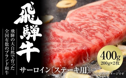 ˋ T[CXe[L 400gi200×2j Ⓚ^pbN |   Xe[L јa a lC   Mtg  [MZ019]򕌌쑺30000