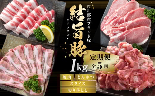 《定期便》全5回 結旨豚(焼肉・しゃぶしゃぶ・切り落とし)1kg×5か月 冷凍真空パック | 肉 お肉 豚肉 国産 食べ比べ セット 白川郷 岐阜県 白川村 ブランド豚 人気 おすすめ ギフト 飛騨高
