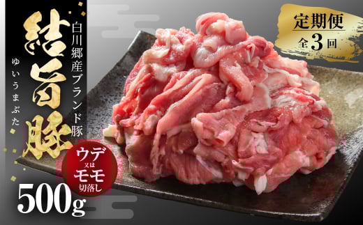 《定期便》全3回 結旨豚 ウデ又はモモ 切り落とし 500g 冷凍真空パック | 肉 お肉 豚肉 国産 食べ比べ セット 白川郷 岐阜県 白川村 ブランド豚 人気 おすすめ ギフト 飛騨高山ミート 18000円 [MS