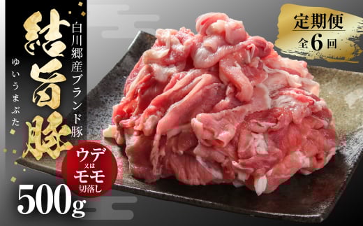 《定期便》全6回 結旨豚 ウデ又はモモ 切り落とし 500g 冷凍真空パック | 肉 お肉 豚肉 国産 食べ比べ セット 白川郷 岐阜県 白川村 ブランド豚 人気 おすすめ ギフト 飛騨高山ミート 36000円 [MS