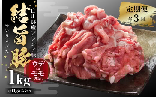 《定期便》全3回 結旨豚 ウデ又はモモ 切り落とし 500g×2パック 冷凍真空パック | 肉 お肉 豚肉 国産 食べ比べ セット 白川郷 岐阜県 白川村 ブランド豚 人気 おすすめ ギフト 飛騨高山ミート