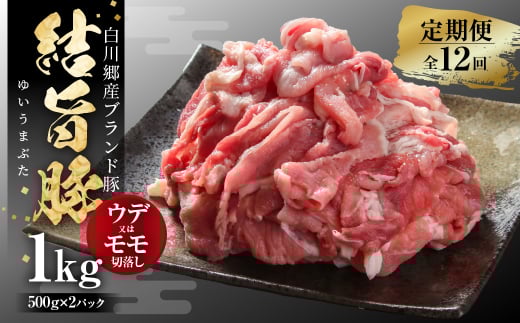 《定期便》全12回 結旨豚 ウデ又はモモ 切り落とし 500g×2パック 冷凍真空パック | 肉 お肉 豚肉 国産 食べ比べ セット 白川郷 岐阜県 白川村 ブランド豚 人気 おすすめ ギフト 飛騨高山ミート