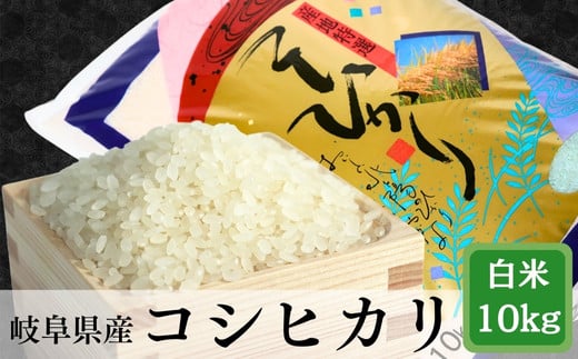 ߘa7NYyVāz  RVqJ 10kg򕌌䒬35000āEp