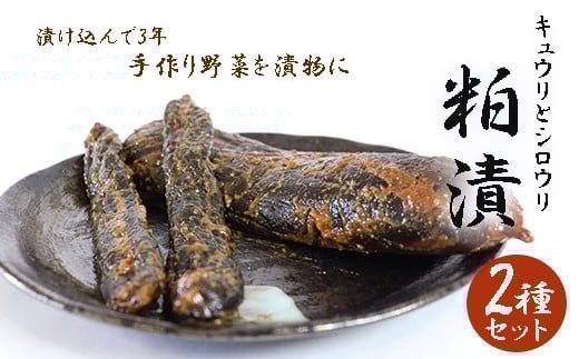 粕漬け2種セット岐阜県垂井町13000鍋セット・総菜・加工食品漬物・梅干・キムチ