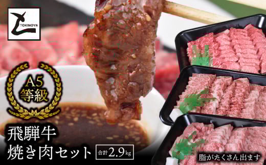 A5飛騨牛焼き肉セット(合計2.9kg)岐阜県垂井町100000肉牛肉