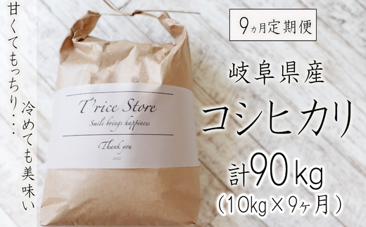 【令和6年産】【9カ月定期便】岐阜県産コシヒカリ 10kg(合計90kg)岐阜県垂井町171000米・パン白米