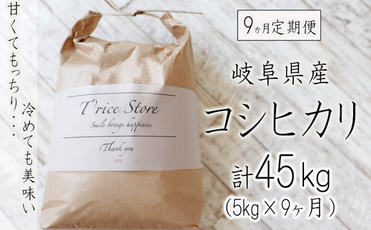 【令和6年産】 【9カ月定期便】岐阜県産 コシヒカリ 5kg(合計45kg)岐阜県垂井町167000米・パン白米