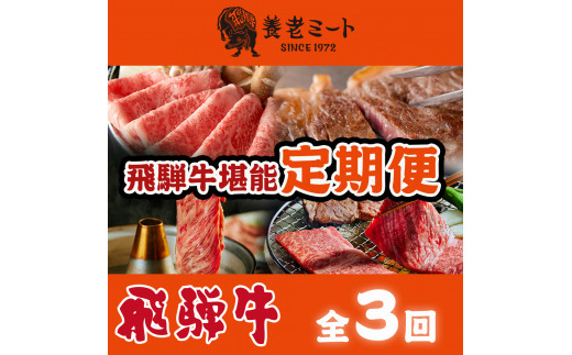 【3か月定期便】月替わりで色々な飛騨牛を楽しめる全3回岐阜県垂井町57000肉牛肉