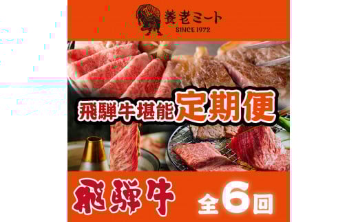 【6か月定期便】月替わりで色々な飛騨牛を楽しめる全6回岐阜県垂井町161000肉牛肉