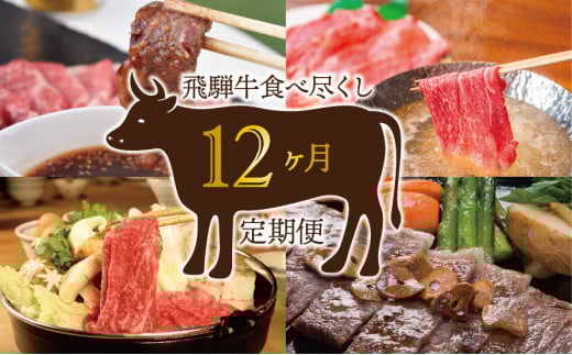 【12か月定期便】飛騨牛食べ尽くし岐阜県垂井町1000000肉牛肉