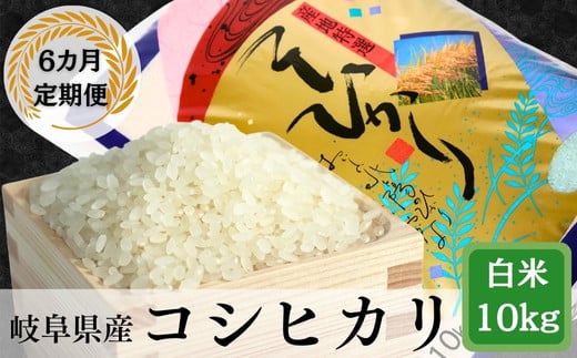 ≪令和7年産≫【6か月定期便】【新米】 岐阜 コシヒカリ 10kg岐阜県垂井町210000米・パン白米