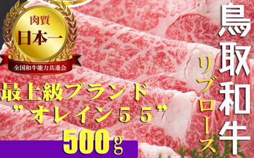 鳥取和牛 最上級A5ランク オレイン55 リブローススライス 大 (約500g) 国産 牛肉 和牛 黒毛和牛 ロース鳥取県倉吉市40000鍋セット・総菜・加工食品カレー・シチュー