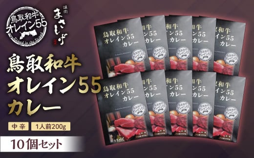 鳥取和牛 オレイン55 カレー 10 個セット 和牛 黒毛和牛 国産 牛肉鳥取県倉吉市33000肉牛肉