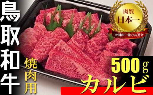 鳥取和牛 焼肉用 カルビ 500g 国産 牛肉 焼肉 和牛 上カルビ 黒毛和牛鳥取県倉吉市18000肉牛肉