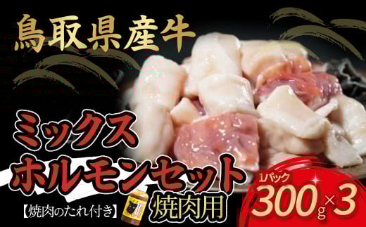 鳥取県産牛 焼肉用ミックスホルモンセット 国産 ホルモン 焼肉 小分け鳥取県倉吉市14000肉牛肉