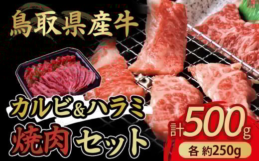 鳥取県産牛 カルビ&ハラミ焼肉セット 国産 牛肉 焼肉 カルビ ハラミ セット 肉 鳥取県 倉吉市鳥取県倉吉市23000肉牛肉
