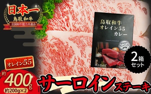 鳥取和牛 オレイン55 サーロインステーキと鳥取和牛オレイン55カレーセット 国産 牛肉 和牛 黒毛和牛 サーロイン カレー鳥取県倉吉市52000肉牛肉