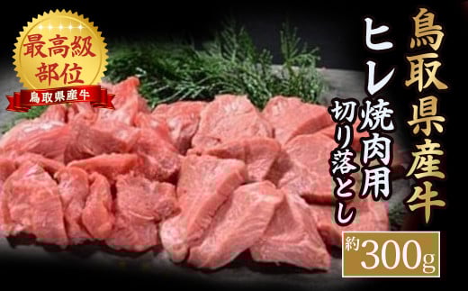 【鳥取県産牛】ヒレ焼肉用 切り落とし (約300g) 国産 牛肉 ヒレ 切り落とし 焼肉 焼き肉 肉 鳥取県 倉吉市鳥取県倉吉市18000肉牛肉
