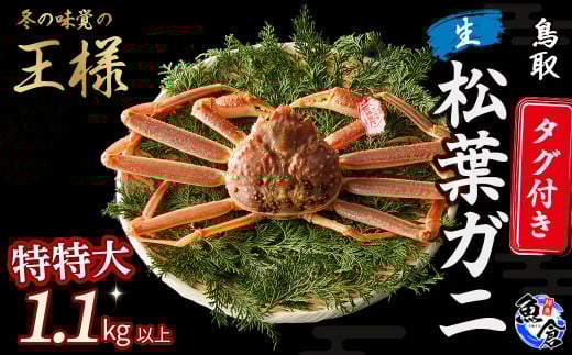 艿iIy11lグzys\zyqz^OttKji1.1kgȏj tKj Jj Jj ^Ot ɂ Jjhg ① YCKj Ԍ Y 
