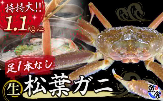 艿iIy11lグzys\zyqzP{ȂtKji1.1kgȏj 󂠂 tKj Jj YCKj Jj ① ɂ Jjhg 킢 Y 