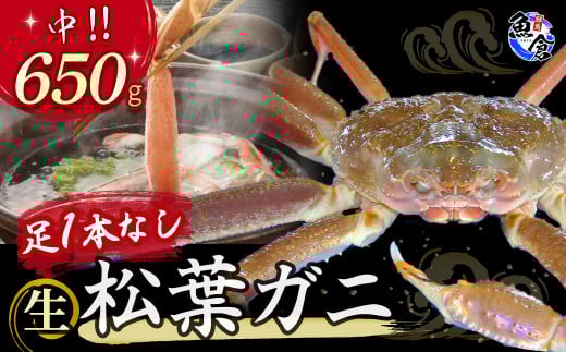 今だけ限定価格!【11月より値上げ】【先行予約】【魚倉】足1本なし生松葉ガニ(中650g) 訳あり 生 松葉ガニ カニ ズワイガニ カニ爪 冷蔵 かにしゃぶ カニ刺身 刺身 冷蔵 限定価格 限定