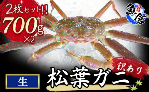 今だけ限定価格!【11月より値上げ】【魚倉】訳あり生松葉ガニ2枚セット 700g以上 松葉ガニ カニ ズワイガニ カニ爪 訳あり わけあり 冷蔵 かにしゃぶ カニ刺身 ずわいがに 鮮度抜群 国産