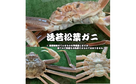 艿iIy11lグzyqzᏼtKj 4iP`Q{Ȃ܂ށj tKj Jj YCKj ① Jj ɂ Jjhg 킢 NxQ Y  