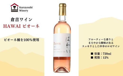 qgCu͂킢vsI[l挧qgs13000EAR[C