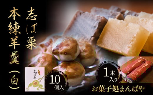 志ば栗と本練羊羹(白)セット 栗 和菓子 ようかん 羊羹 白小豆 スーイツ セット 鳥取県 倉吉市鳥取県倉吉市8000菓子・スイーツその他 和菓子