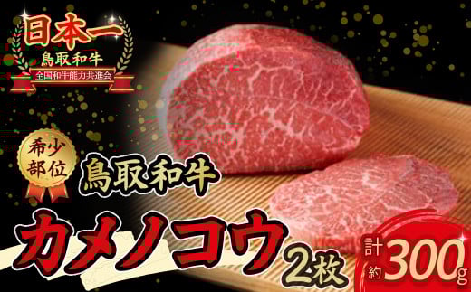 鳥取和牛 希少部位ステーキ「カメノコウ」約300g 国産 牛肉 和牛 黒毛和牛 希少 ステーキ 肉 希少部位 最高級部位 カメノコウ 冷凍 国産牛 ブランド牛 鳥取県 倉吉市鳥取県倉吉市19000肉牛肉