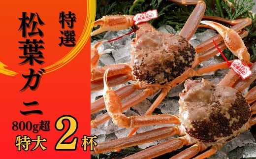  t y^Otz 800g̑傫TCY 2t  ws i11j N8_I itKj Jj YCKj Jj ① ɂ Jjhgj挧qgs111000ECY