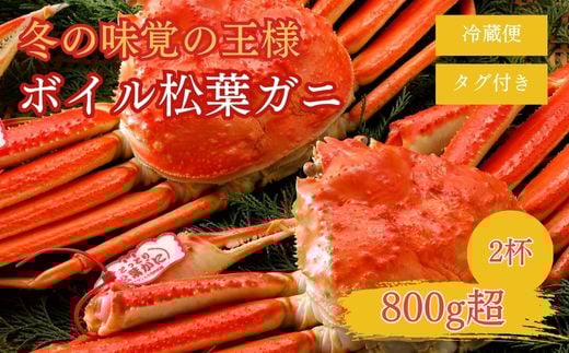  t y^Otz 800g̑傫TCY 2t {C i11jN8_Y tKj Jj YCKj Jj ①挧qgs111000ECYJj