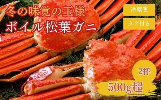 特撰 松葉がに 【タグ付き】 500g超 お手頃サイズ 2杯 ボイル (11月発送)N17_Y 松葉ガニ カニ ズワイガニ カニ爪 冷蔵鳥取県倉吉市83000魚介・海産物カニ