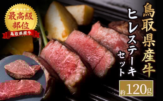 【特別規格品】 鳥取県産牛 最高級部位 ヒレ ステーキ セット 約120g 牛肉 ヒレ ヒレ肉 ヒレステーキ 国産牛 ステーキ 肉 フィレ 国産 BBQ 鳥取県 倉吉市鳥取県倉吉市9000肉牛肉