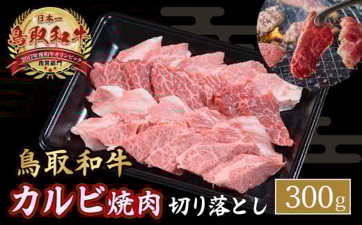 a Jrē ؂藎Ƃ 300g ܂̂ o Y   ē Jr a uh јa KR1297挧qgs13000