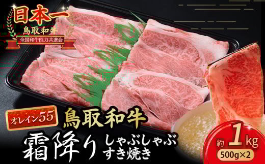 鳥取和牛 【オレイン55】霜降りしゃぶしゃぶすき焼き 1kg ( 500g × 2 ) 鳥取和牛 オレイン55 ロース しゃぶしゃぶ すき焼き 国産 牛肉 ブランド牛 和牛 黒毛和牛 KR1284鳥取県倉吉市42000肉牛肉